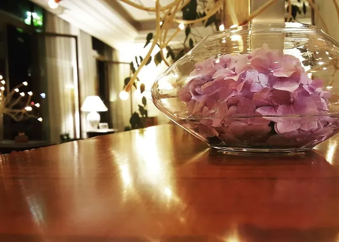 Delle OrtensieHotel Stelle